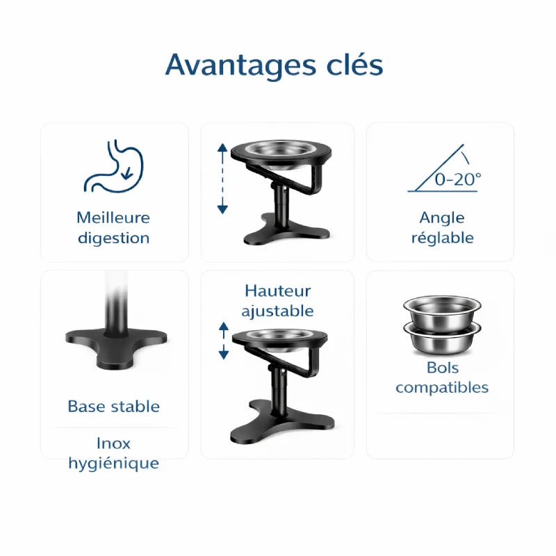Gamelle pour chat surélevée - Galtura : avantages clés - AstuceChat
