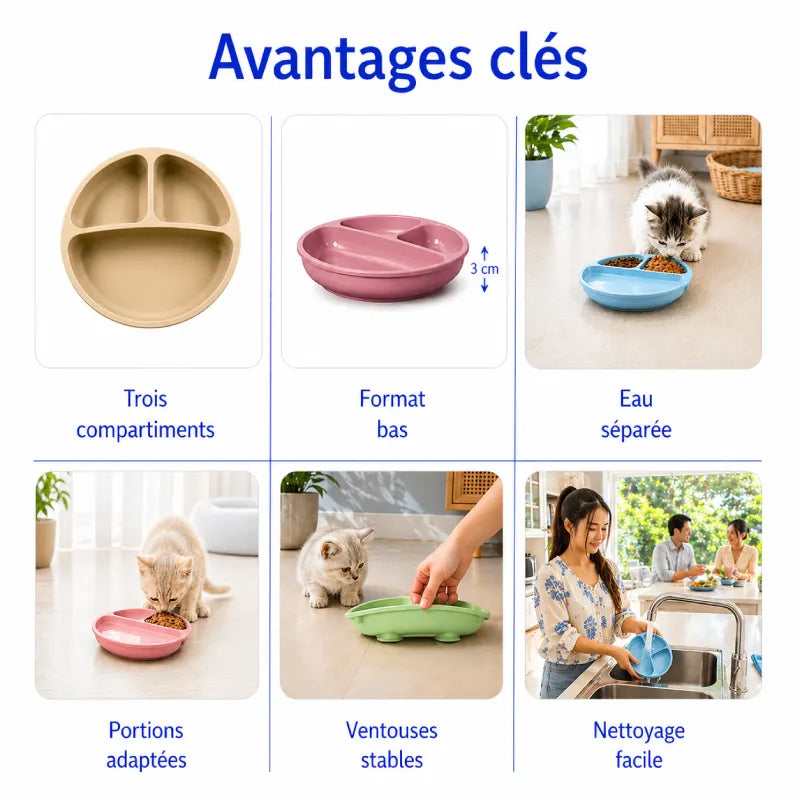 Gamelle pour chaton compartimentée - Gacompa : avantages clés des 3 compartiments - AstuceChat