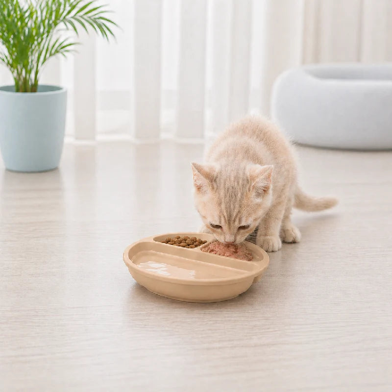 Gamelle pour chaton compartimentée - Gacompa : repas séparé en Crème Vanille pour jeune chat - AstuceChat