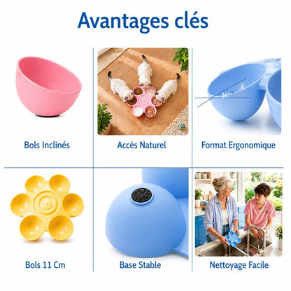 Gamelle pour chaton ergonomique - Garoue : avantages clés du produit - AstuceChat