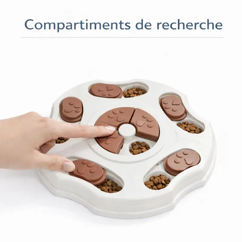Gamelle puzzle Chat - Gavélis : compartiments de recherche - AstuceChat