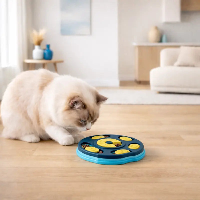 Gamelle puzzle Chat - Gavélis : lifestyle chat crème - AstuceChat