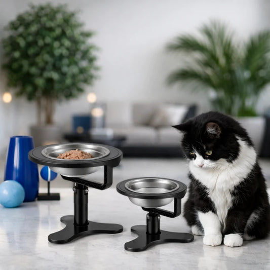 Gamelle surélevée digestion chat - Galtura - duo onyx mat en situation salon - AstuceChat