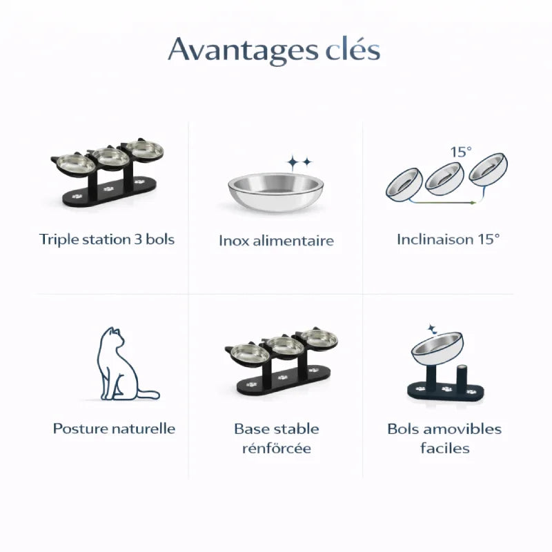 Gamelle triple pour chat - Gavion : avantages clés - AstuceChat