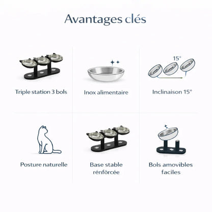 Gamelle triple pour chat - Gavion : avantages clés - AstuceChat