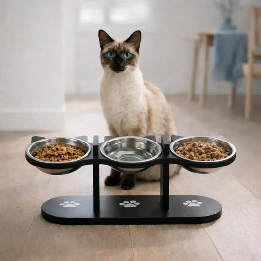 Gamelle triple pour chat - Gavion : lifestyle chat siamois - AstuceChat