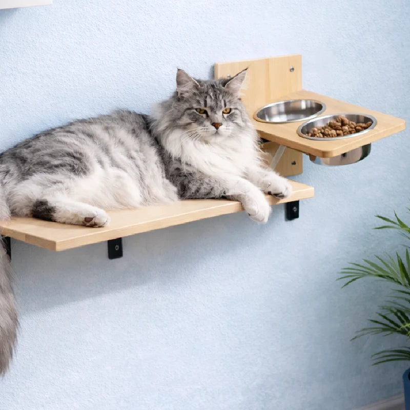Gamelles chat fixation murale - Gavan : lifestyle Maine Coon - AstuceChat