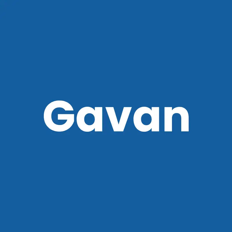 Gamelles chat fixation murale - Gavan, nom du produit - AstuceChat