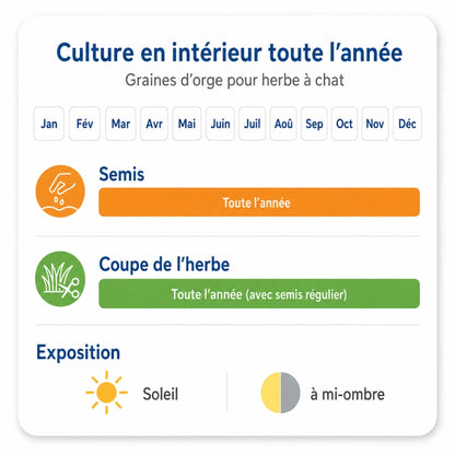 Graine herbe a chat - Axsemis : culture interieur toute l annee - AstuceChat