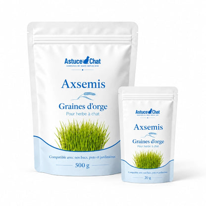 Graine herbe à chat - Axsemis : présentation des deux sachets de graines d’orge de 20 g et 500 g - AstuceChat