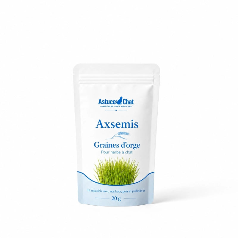 Graine herbe à chat - Axsemis : graines d’orge en sachet de 20 g - AstuceChat