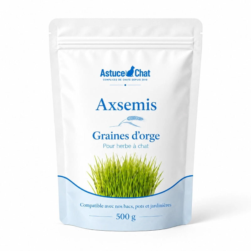 Graine herbe à chat - Axsemis : graines d’orge en sachet de 500 g - AstuceChat