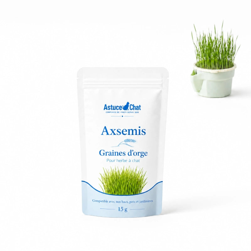 Graine herbe a chat - Axsemis : sachet solo et pot - AstuceChat