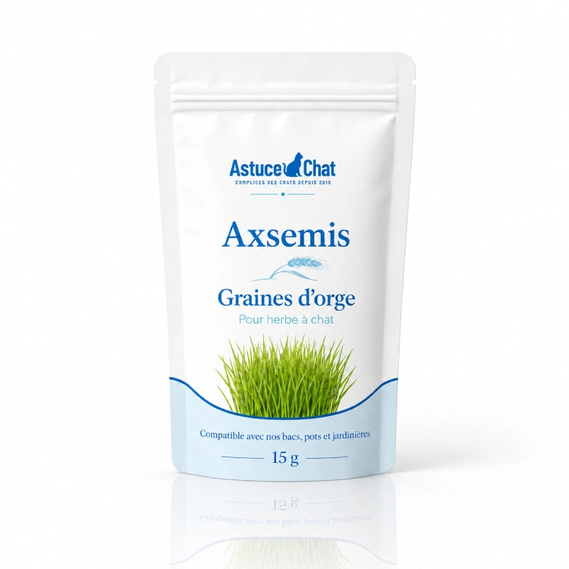 Graine herbe a chat - Axsemis : solo sachet produit - AstuceChat