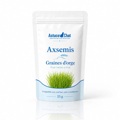 Graine herbe a chat - Axsemis : solo sachet produit - AstuceChat