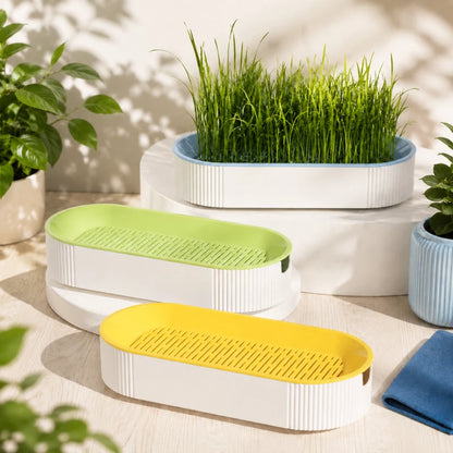 Jardinière herbe à chat, Axjardin : variantes bleu céleste, jaune miel et vert tilleul - AstuceChat