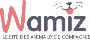 AstuceChat sélectionné par Wamiz