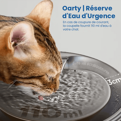 oarty fontaine a eau chat boit