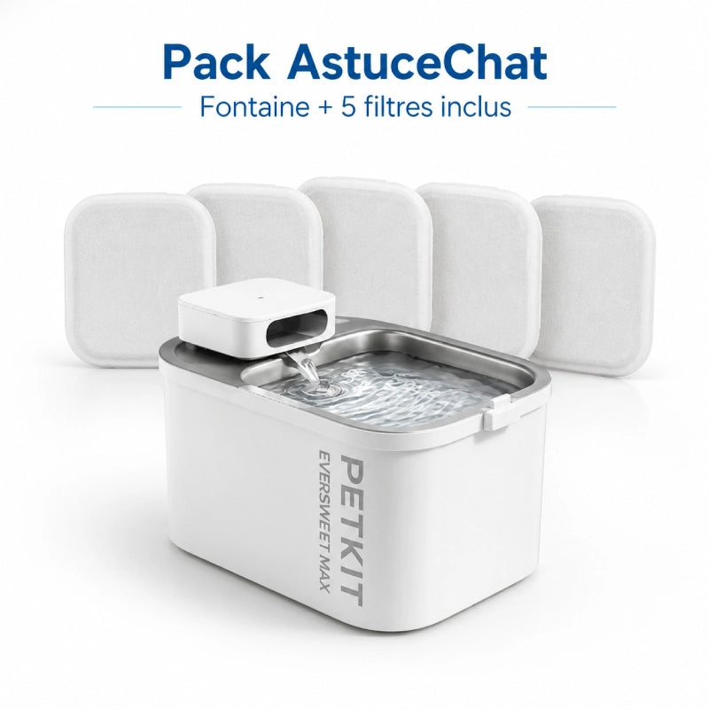 Petkit fontaine à eau - Eversweet Max : pack AstuceChat avec 5 filtres inclus - AstuceChat