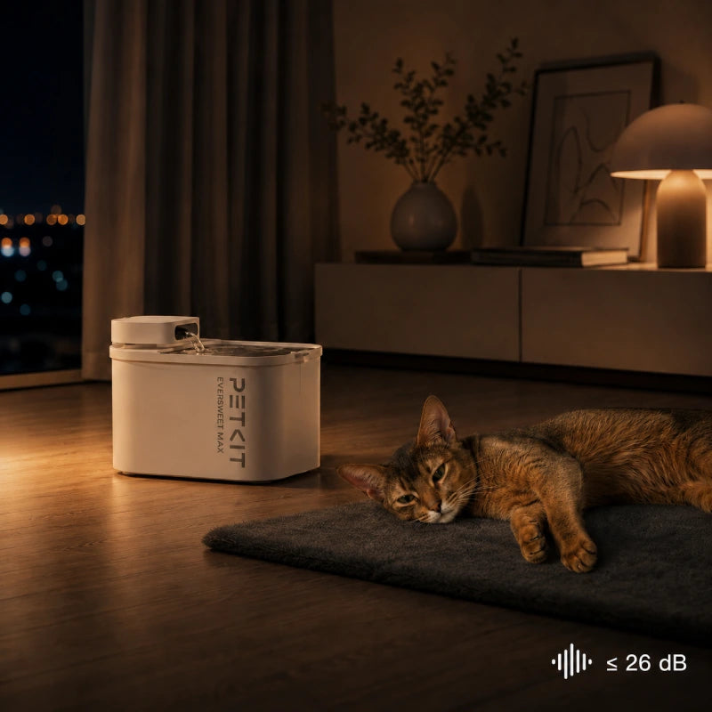 Petkit fontaine à eau - Eversweet Max : silence 26 dB avec chat au repos - AstuceChat