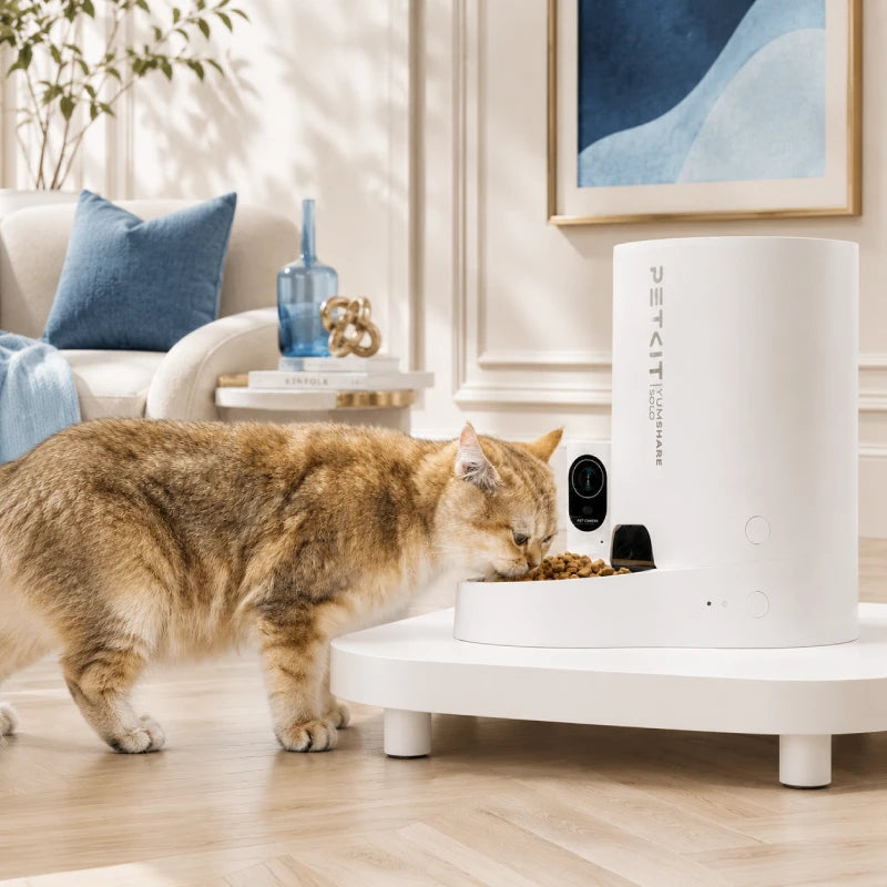 PetKit Support : lifestyle chat avec distributeur - AstuceChat