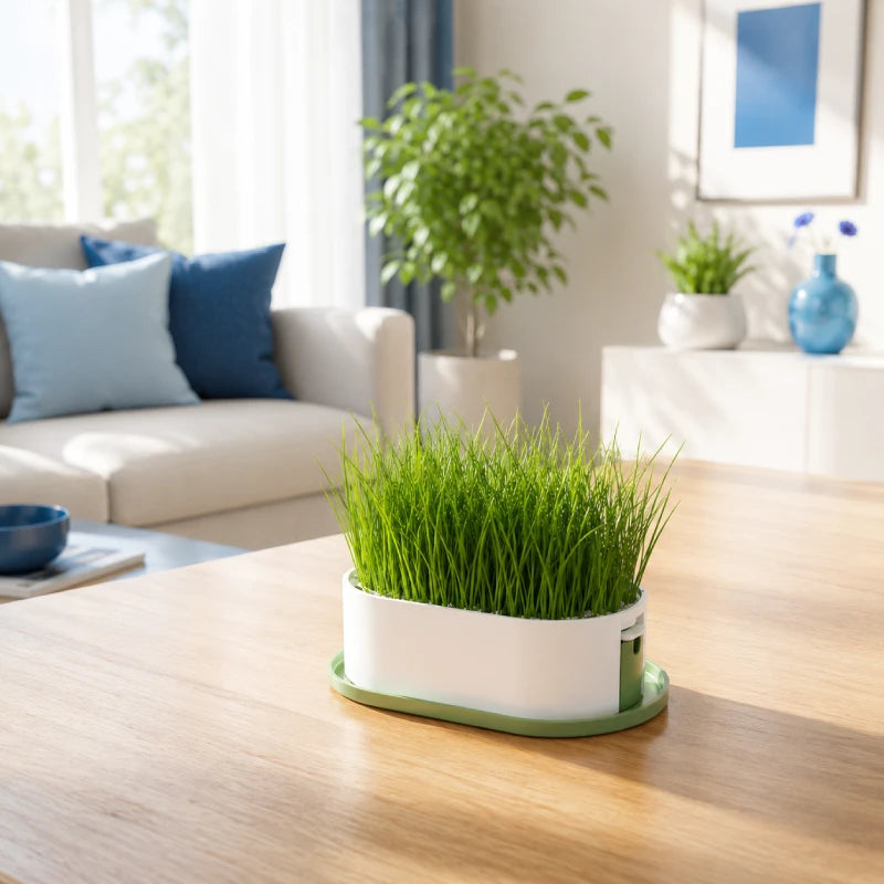 Plateau de germination - herbe à chat Axracine : lifestyle salon premium - AstuceChat