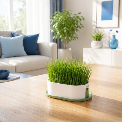 Plateau de germination - herbe à chat Axracine : lifestyle salon premium - AstuceChat