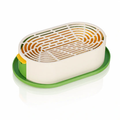 Plateau de germination - herbe à chat Axracine : produit Ivoire Miel - AstuceChat