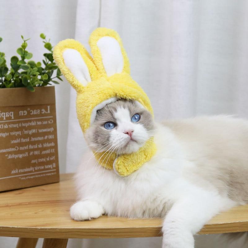 RabbitHat™ - Accessoire de déguisement pour chat - Astuce Chat