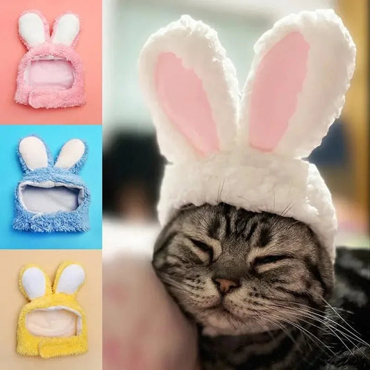 RabbitHat™ - Accessoire de déguisement pour chat - Astuce Chat