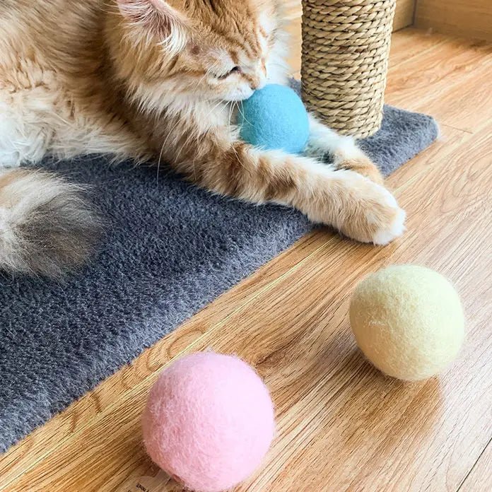 SmartBall™ - Balle intelligente d'apprentissage pour chat - Astuce Chat