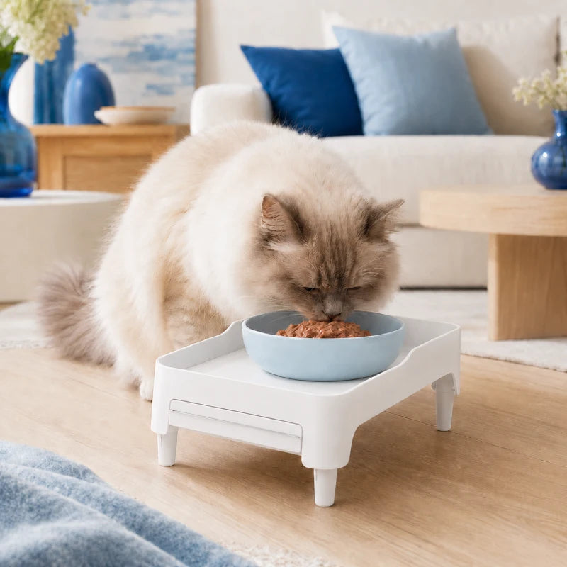 Socle Rojeco pour chat : gamelle chat céramique avec chat siamois - AstuceChat
