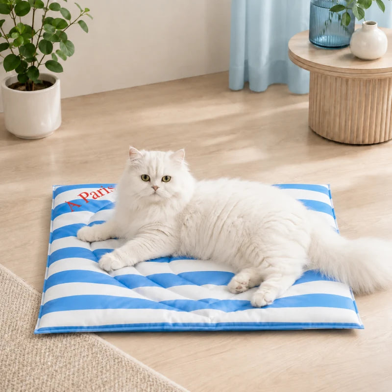 Tapis rafraîchissant chat - Axolia : avec chat persan - AstuceChat